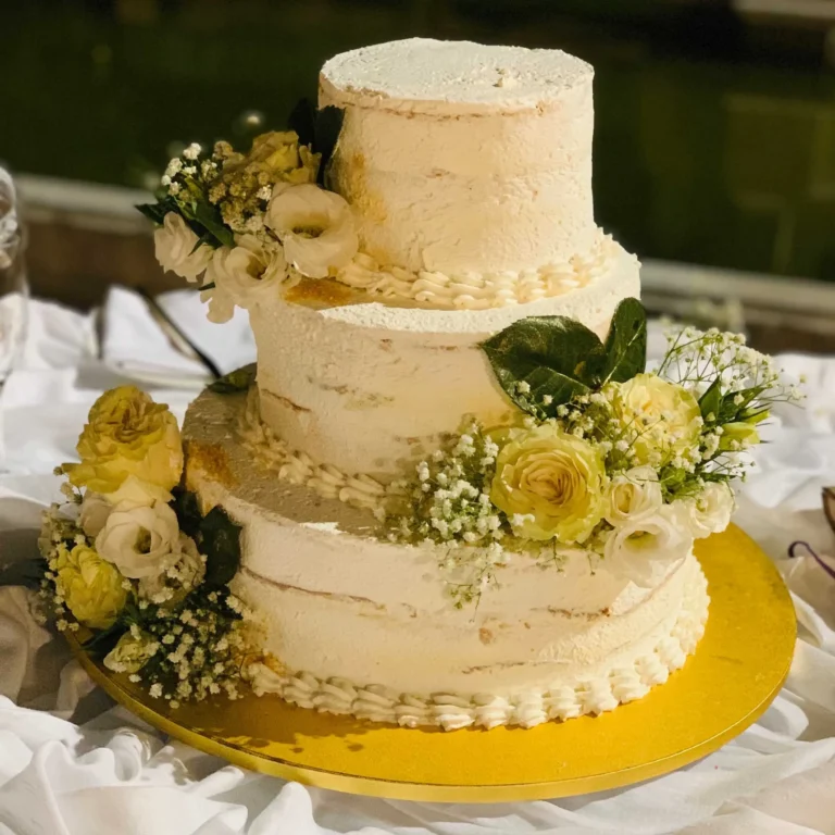 Torte eventi Albatros