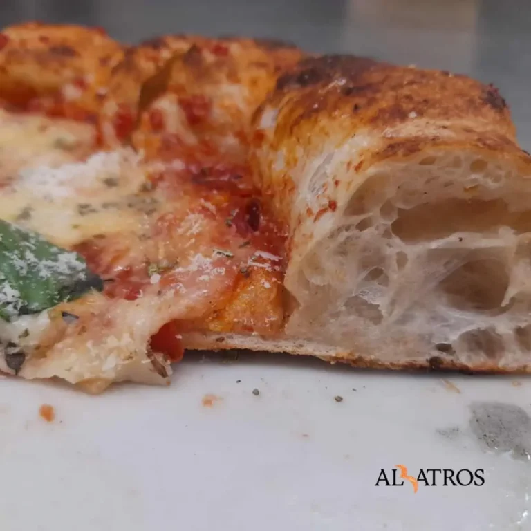 Pizza_Albatros